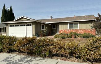 Evergreen Single-Story Home with Spacious Yard