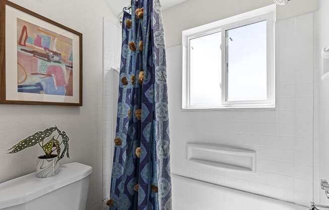 a bathroom with a shower curtain and a toilet and a window