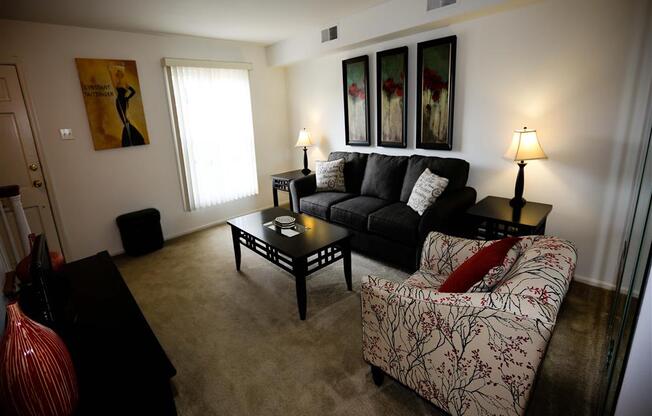 Gallery Photo 13