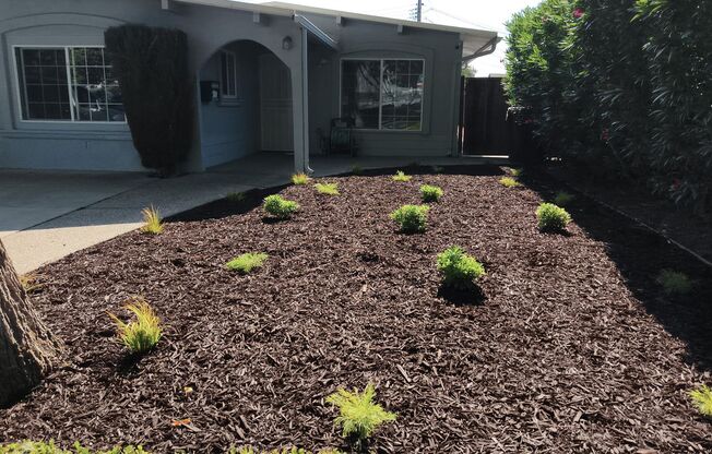 Updated 3 Bedroom, 2 Bath Home with Separate Flex Room and Bath