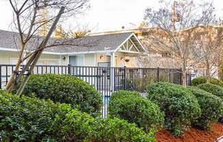 Exterior landscape view of pool gate at 215 BAYVIEW APARTMENTS, San Rafael, CA, 94901