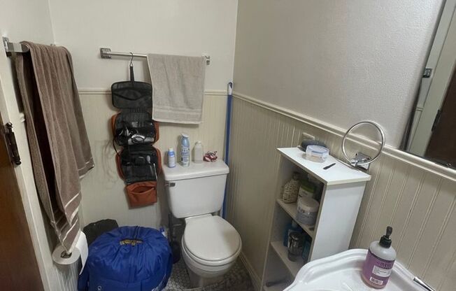 Studio, 1 bath, $1,060