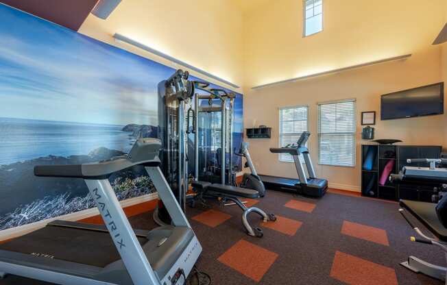 a gym with exercise equipment and a wall mural of the ocean