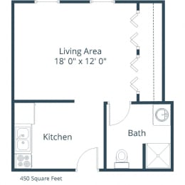 Studio, 1 bath, 450 sqft, $560
