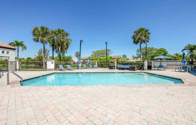 Pet-Friendly Apartments in Coconut Creek, FL – Waterview at Coconut Creek – resort style swimming pool and sundeck with palm trees behind