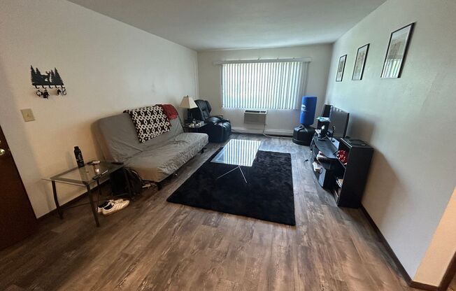 1 bed, 1 bath, $1,025, Unit 1