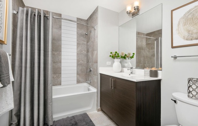 West-Loop-Chicago-Apartments-The Madison at Racine-Interior-Bathroom at The Madison at Racine, Chicago, IL