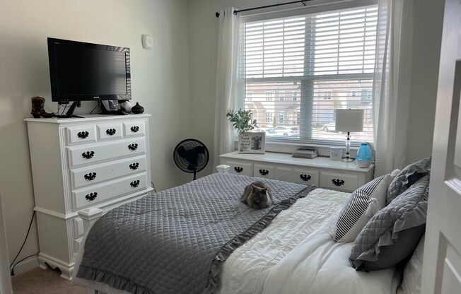 1 bed, 1 bath, 664 sqft, $1,350, Unit 11-1124