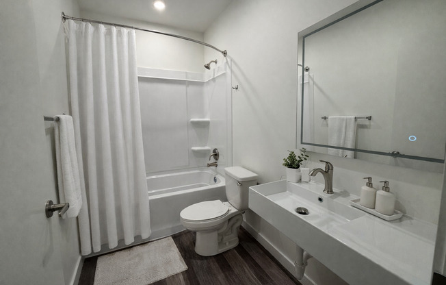 1 bed, 1 bath, 434 sqft, $2,095, Unit 204