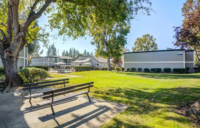 A park with a bench and a building in the background.