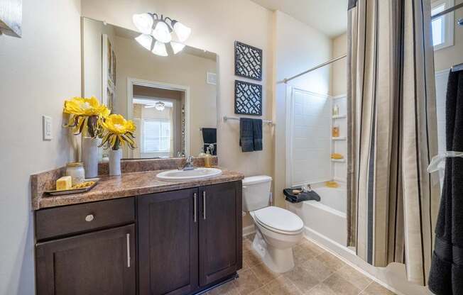 A bathroom with a sink, toilet, and a shower.