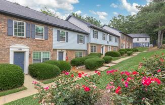 a close up of a flower garden in front of a brick building