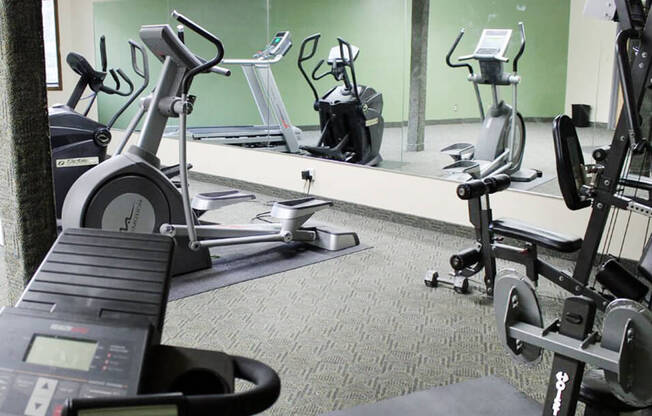 fitness center at Stone Grove Apartments