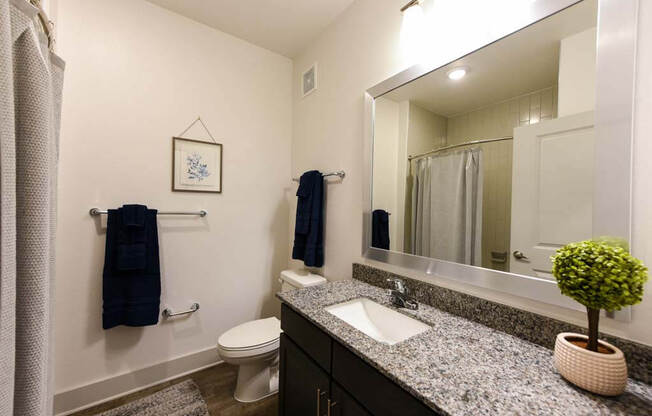 Bathroom with Toilet and Sink at Fountainhead, Jacksonville, FL, 32258
