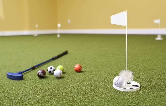 a set of golf balls and a bat on a field