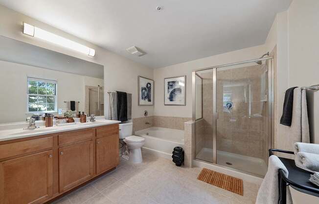 A bathroom with a walk-in shower and a toilet.
