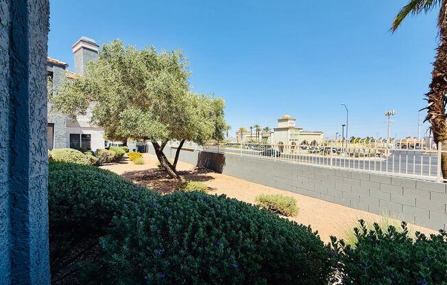1 bed, 1 bath, $1,300, Unit # 1034