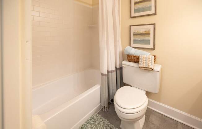 an image of a bathroom with a toilet and a tub