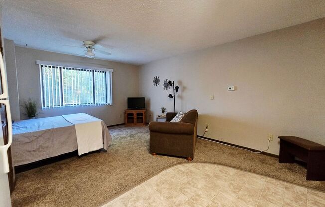 Studio, 1 bath, 350 sqft, $1,200, Unit island-3AF