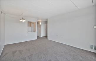 A large empty room with a carpeted floor and a hanging light fixture.