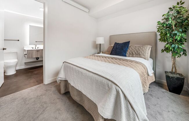 1 bed, 1 bath, 706 sqft, $3,095, Unit 412