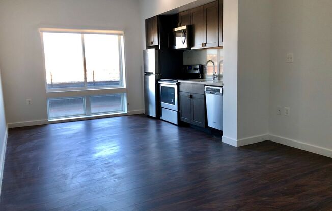 Studio, 1 bath, 400 sqft, $1,310, Unit 502