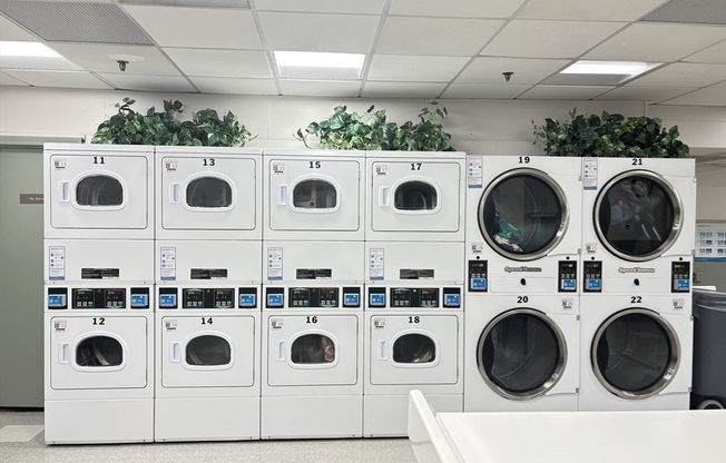 1 bed, 1 bath, 823 sqft, $3,600, Unit 7O