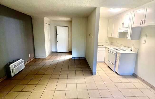 Studio, 1 bath, $2,045, Unit 1C