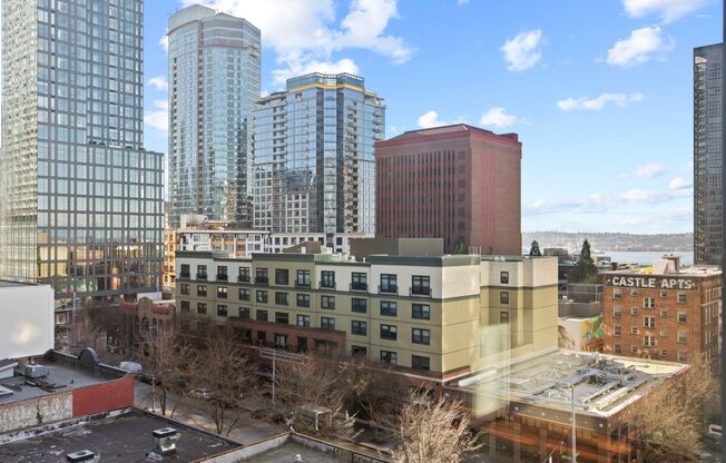 1 bed, 1 bath, 550 sqft, $1,677, Unit 314