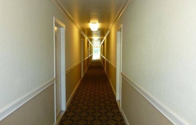 1 bed, 1 bath, 600 sqft, $1,995, Unit Unit 2