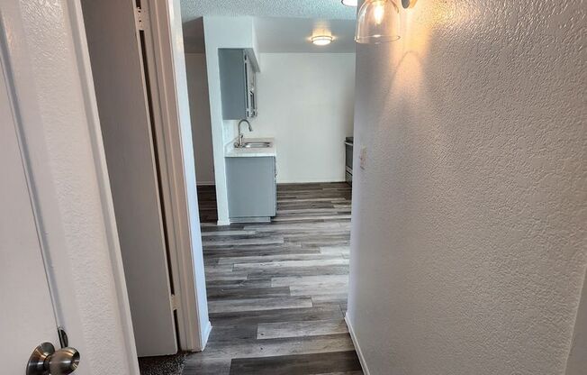1 bed, 1 bath, 800 sqft, $999