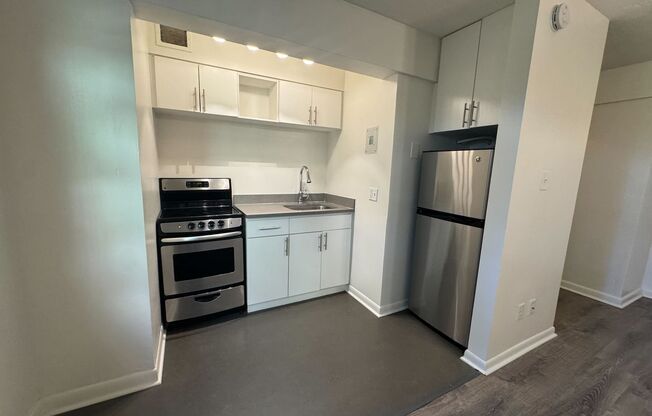 Studio, 1 bath, 411 sqft, $1,150, Unit 316