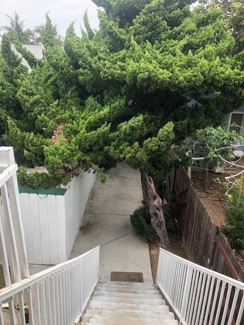 Spacious  2 bed / 1 bath upper floor Unit in OB