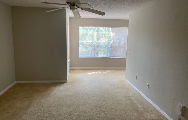 Venetian Place - 1323