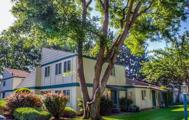 La Verde Apartments Building Exteriors and Trees