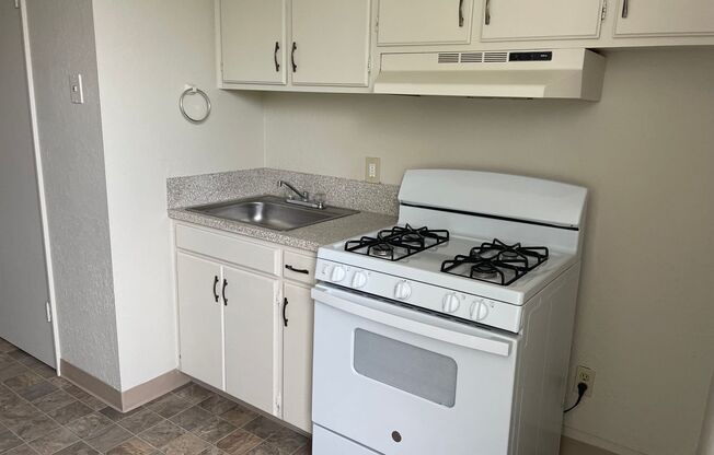 Studio, 1 bath, 241 sqft, $745, Unit 311