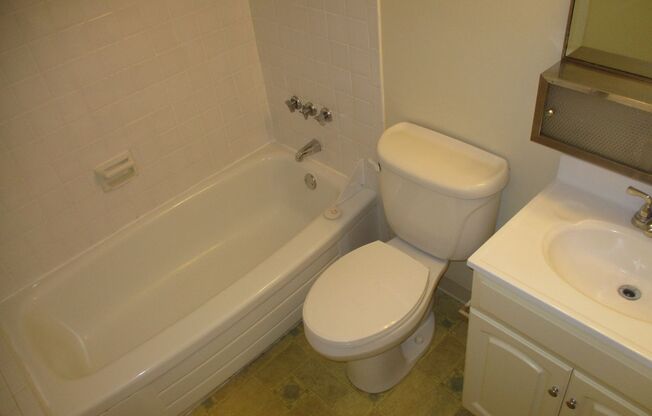 Studio, 1 bath, 520 sqft, $800, Unit 315