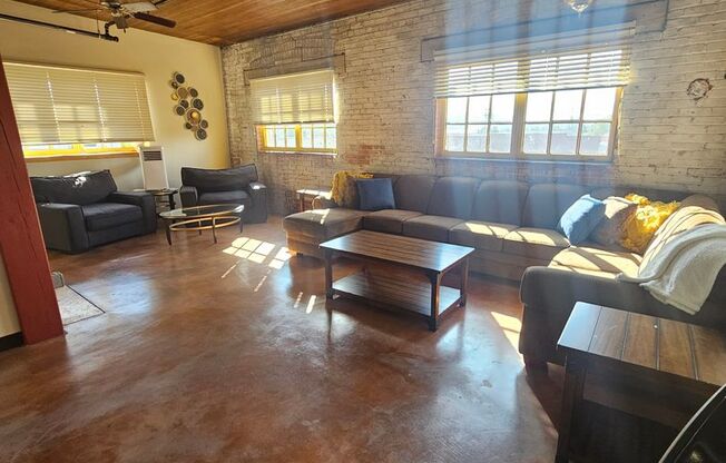 Tracy Lofts