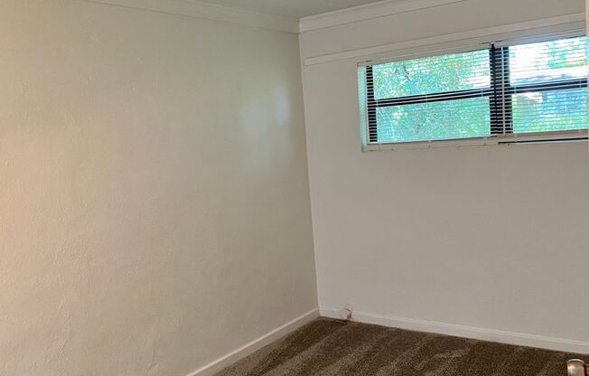 Cozy 1/1 duplex unit on a large lot - Available in June.