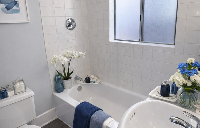 SP2115(NEW) (RSO) (Imp.)