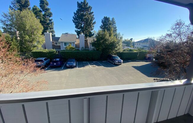 Buena Vista Apartments