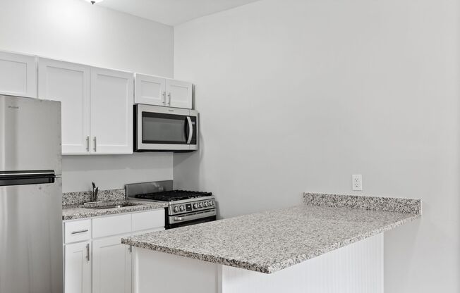 Chestnut Street Apartment
