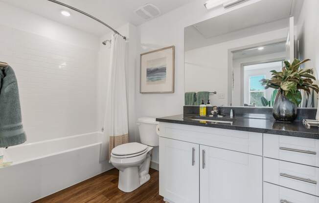 a bathroom with a toilet and a sink and a mirror