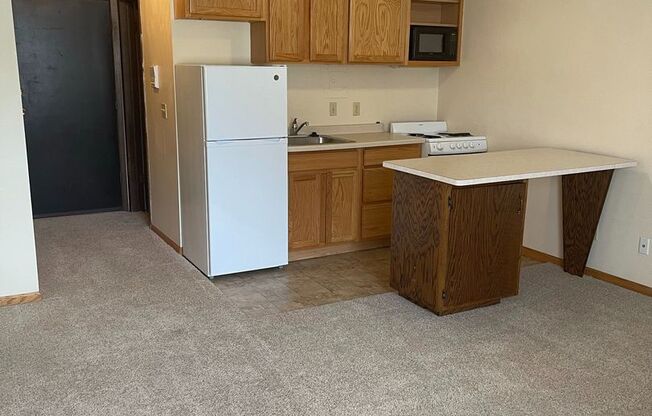 Studio, 1 bath, 300 sqft, $1,060, Unit 102-204