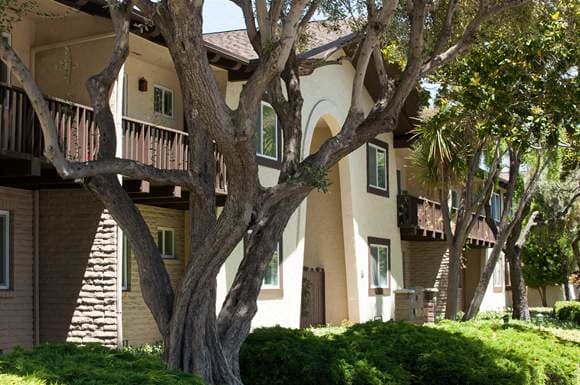 Welcome to El Mirador Apartments