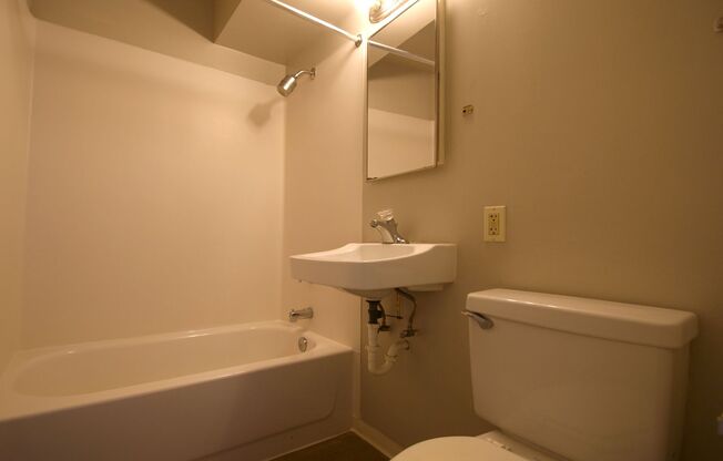 1 bed, 1 bath, 393 sqft, $1,195, Unit 215