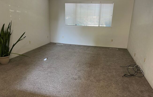 3/2 Home with Pool Near Fresno State