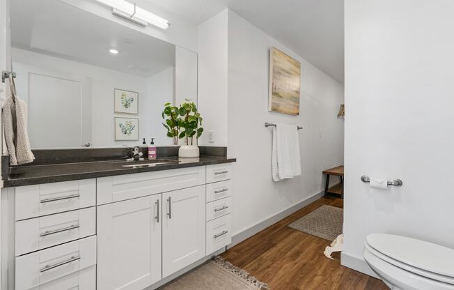 a bathroom with white cabinets and a toilet and a sink