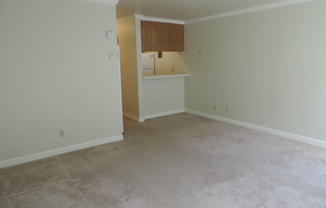 Studio, 1 bath, 360 sqft, $1,900, Unit 1207 Hopkins Street - Unit 9