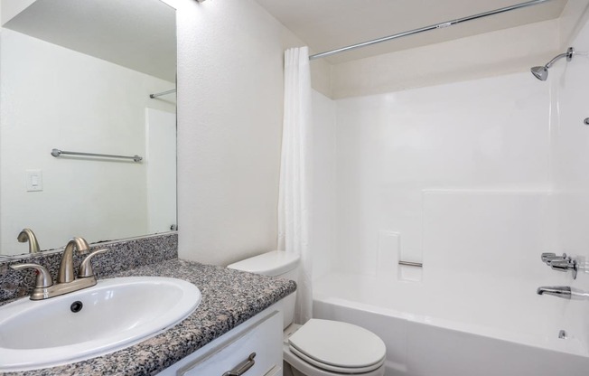 a bathroom with a sink and a toilet and a shower